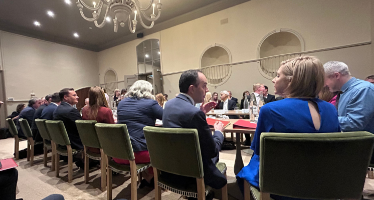 Mayoral Council attendees at the table